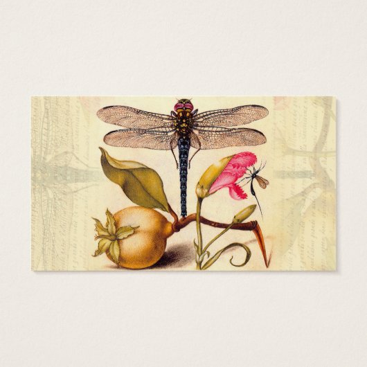 Dragonfly Botanical Nature Wildlife (Back)