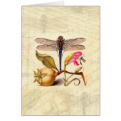 Dragonfly Botanical Nature Wildlife (Front)