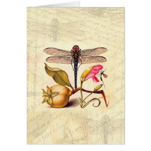 Dragonfly Botanical Nature Wildlife (Front)