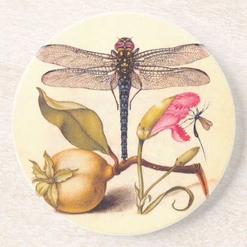 Dragonfly Botanical Nature Wildlife Drink Coaster