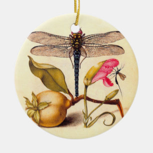 Dragonfly Botanical Nature Wildlife Hoefnagel Art Ceramic Ornament