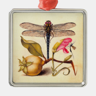 Dragonfly Botanical Nature Wildlife Hoefnagel Art Metal Ornament