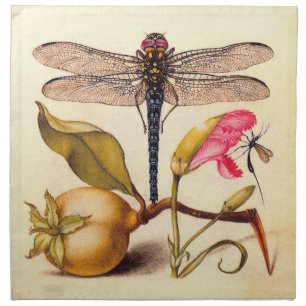 Dragonfly Botanical Nature Wildlife Hoefnagel Art Napkin