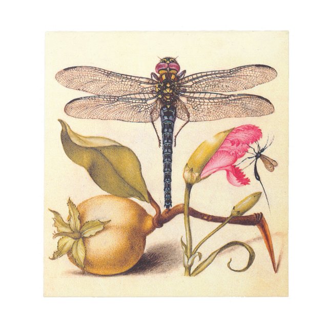 Dragonfly Botanical Nature Wildlife Hoefnagel Art Notepad (Front)