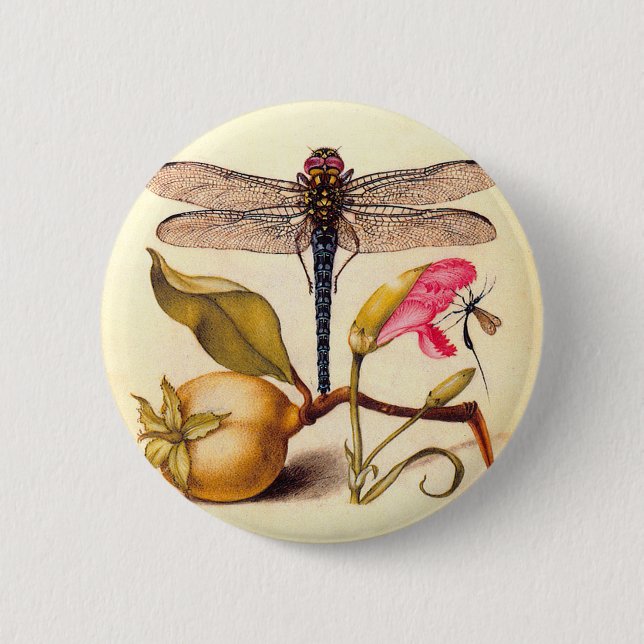 Dragonfly Botanical Nature Wildlife Hoefnagel Art Pinback Button (Front)