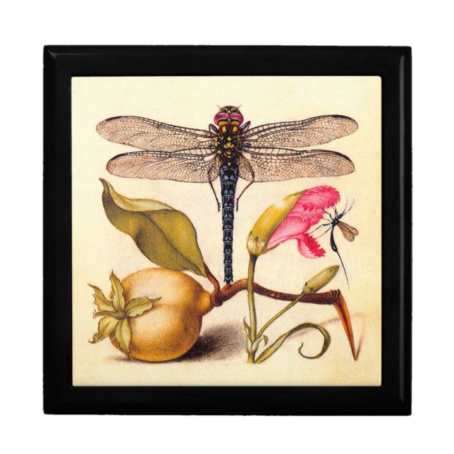 Dragonfly Botanical Nature Wildlife Jewelry Box (Front)
