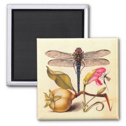Dragonfly Botanical Nature Wildlife Magnet