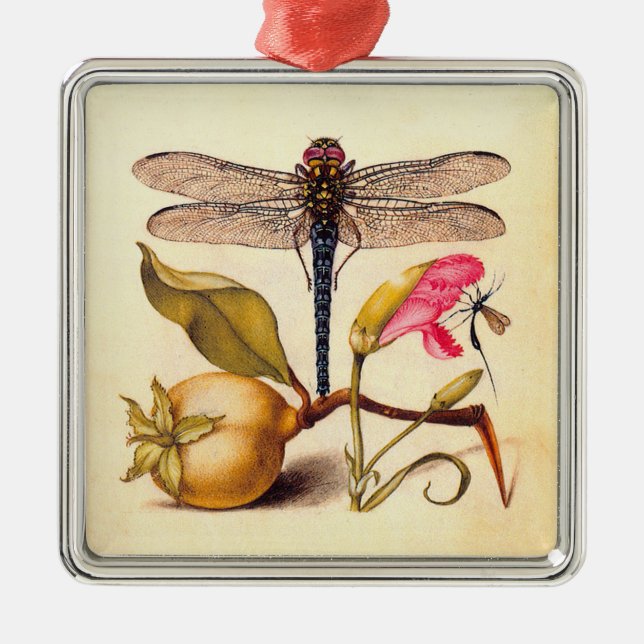 Dragonfly Botanical Nature Wildlife Metal Ornament (Front)