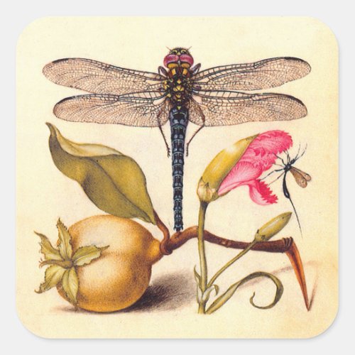 Dragonfly Botanical Nature Wildlife Square Sticker