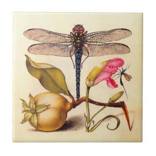 Dragonfly Botanical Nature Wildlife Tile