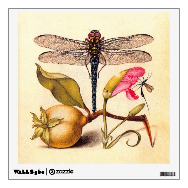 Dragonfly Botanical Nature Wildlife Wall Decal (Front)