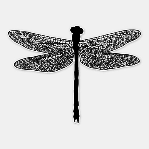 dragonfly Bug Insect nature wildlife Silhouette  Sticker