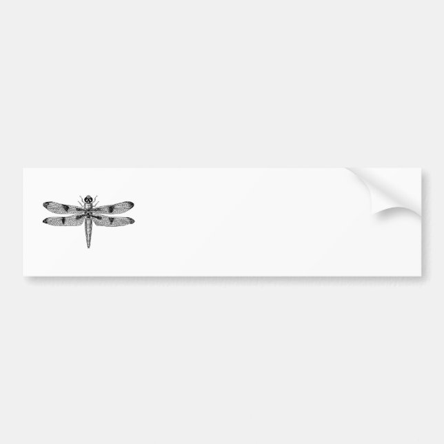 Dragonfly Bumper Sticker (Front)