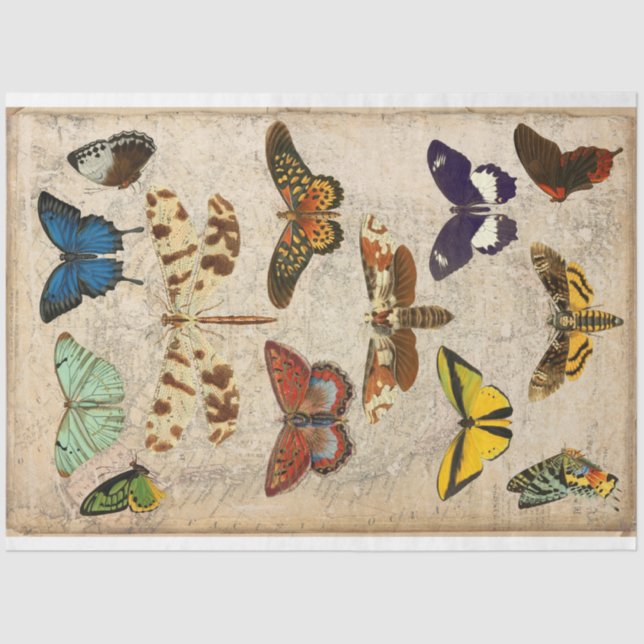 Dragonfly Butterfly moth decoupage Tissue Paper (Front)