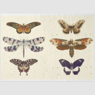 Dragonfly Butterfly moth decoupageTissue Paper