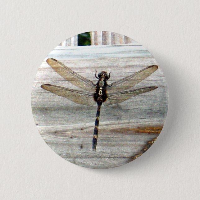 Dragonfly Button (Front)