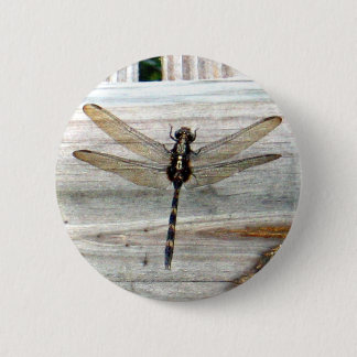 Dragonfly Button