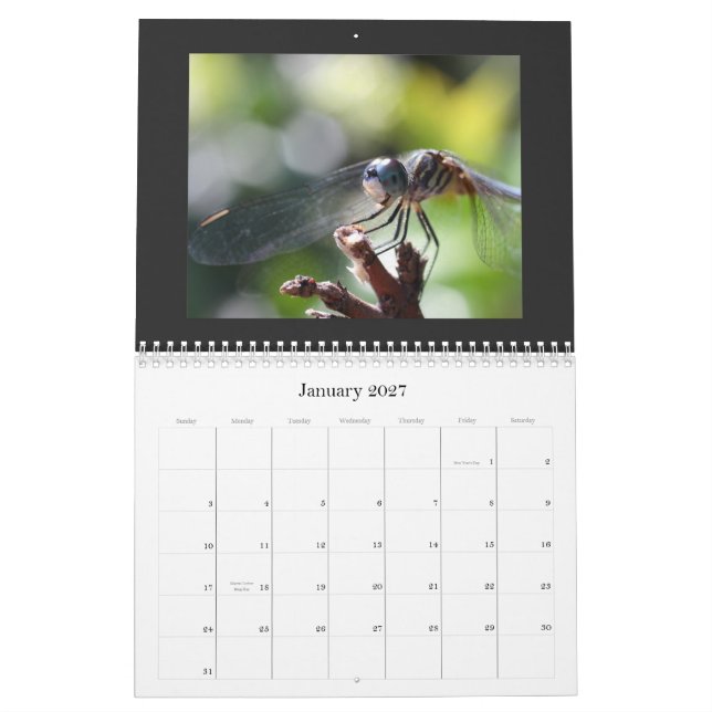 Dragonfly Calendar 2011 (Jan 2027)