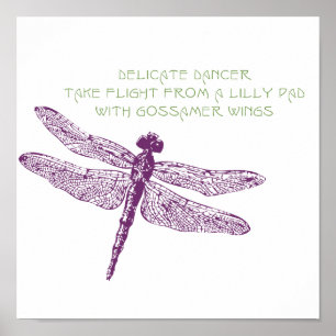 Dragonfly Canvas Print