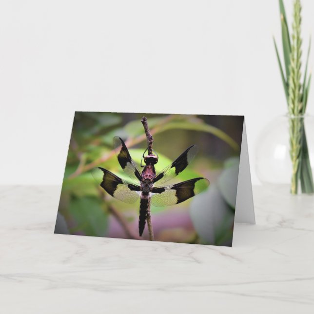 Dragonfly, card (Front)