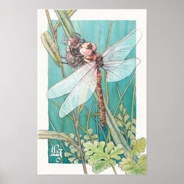 Dragonfly card 6 poster (Front)