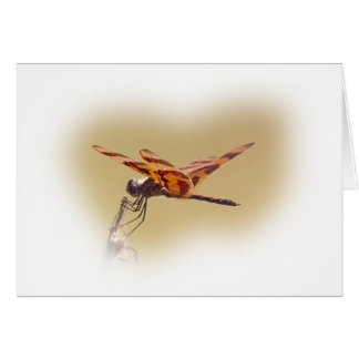 Dragonfly Cards