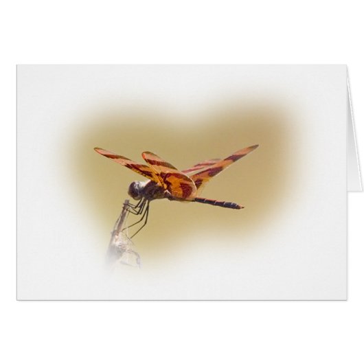 Dragonfly Cards (Front Horizontal)