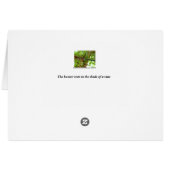 Dragonfly Cards (Back Horizontal)