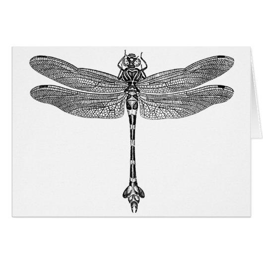 Dragonfly Cards (Front Horizontal)