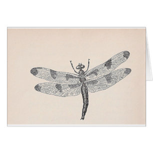 Dragonfly Cards
