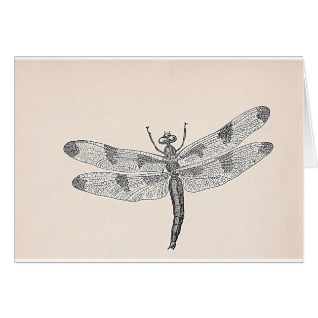 Dragonfly Cards (Front Horizontal)