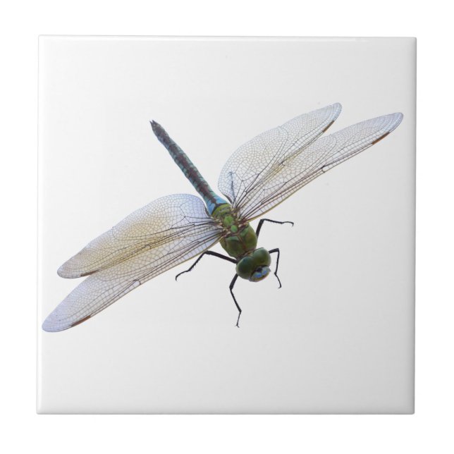 Dragonfly Ceramic Tile (Front)