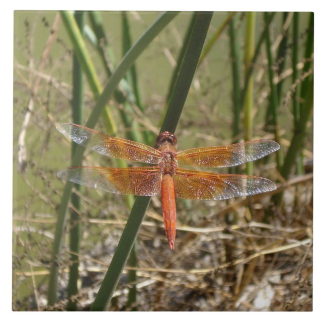 Dragonfly Ceramic Tile (Large Image) (Front)
