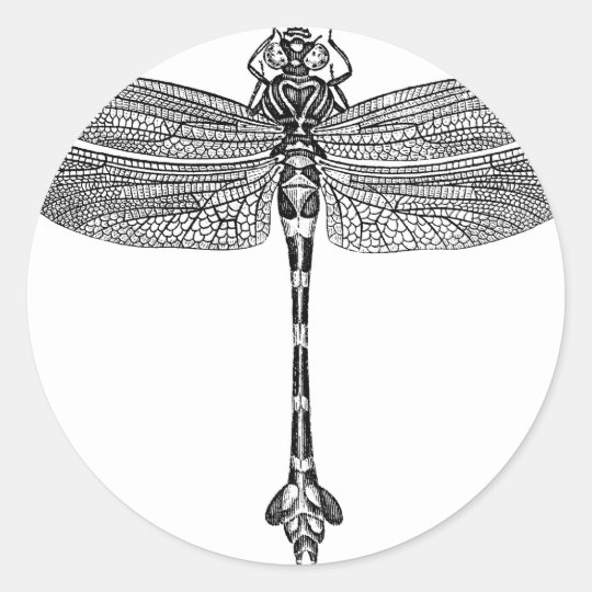 Dragonfly Classic Round Sticker