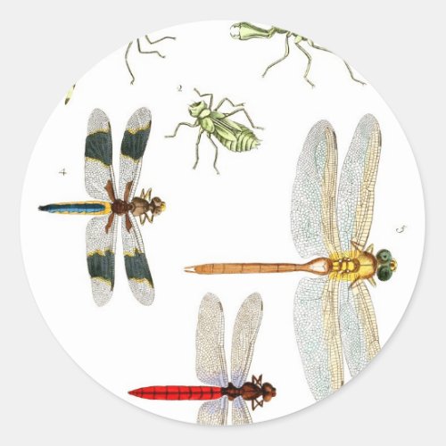 dragonfly_clip_art_4 classic round sticker