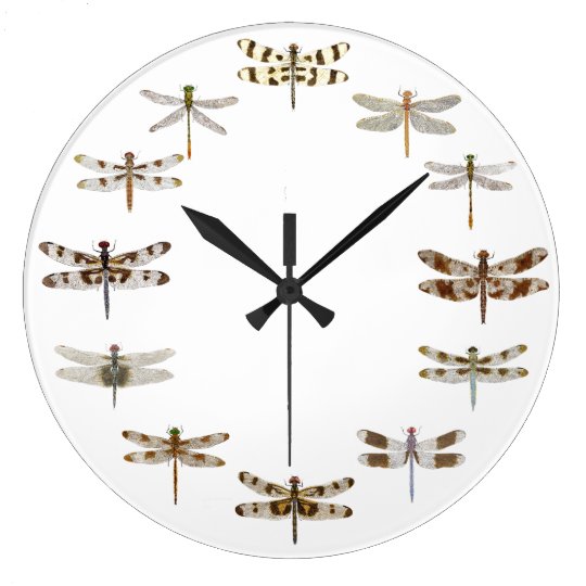 Dragonfly Clock