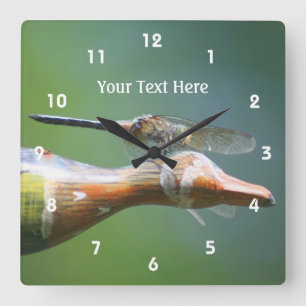 Dragonfly Co Pilot Cute Nature Personalized Square Wall Clock