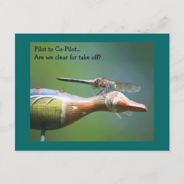 Dragonfly Co Pilot Humorous Nature Postcard (Front)