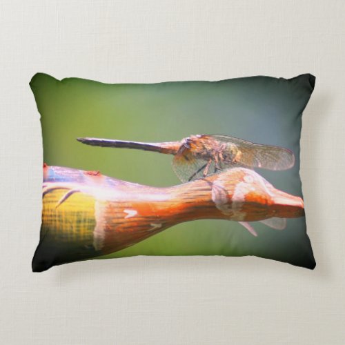Dragonfly Co Pilot Insect   Accent Pillow