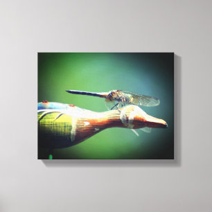 Dragonfly Co Pilot Insect  Canvas Print