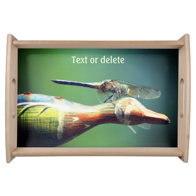 Dragonfly Co Pilot Insect Personalized Serving Tray (Front)
