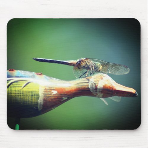 Dragonfly Co Pilot Nature  Mouse Pad