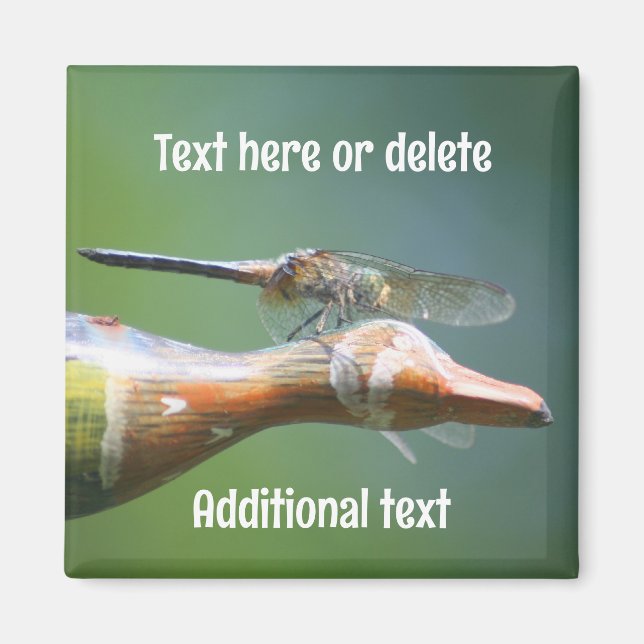 Dragonfly Co Pilot Nature Personalized Magnet (Front)