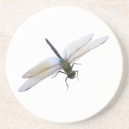 Dragonfly Coaster