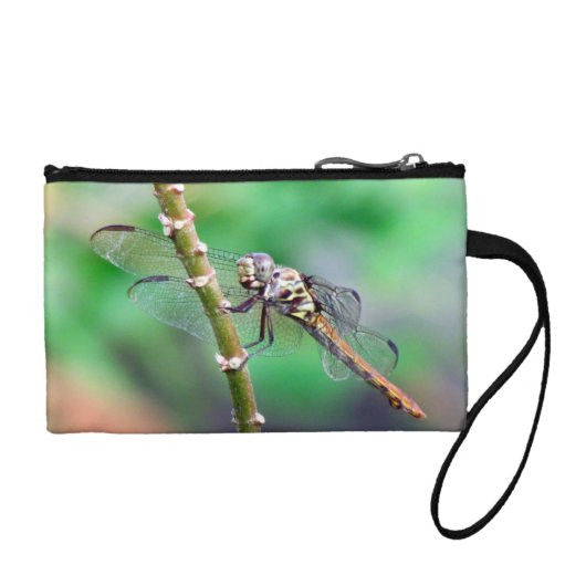 Dragonfly Coin Purse (Front)