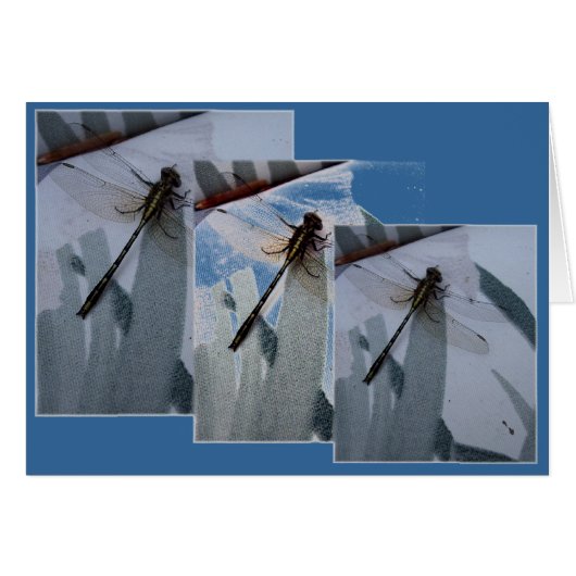 Dragonfly Collage Cards (Front Horizontal)
