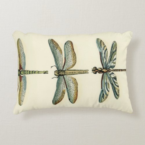 Dragonfly Collection by Chariklia Zarris Accent Pillow
