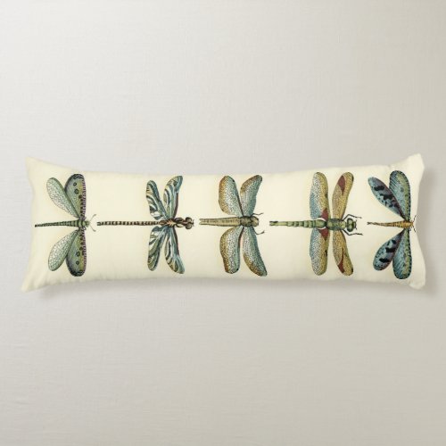 Dragonfly Collection by Chariklia Zarris Body Pillow