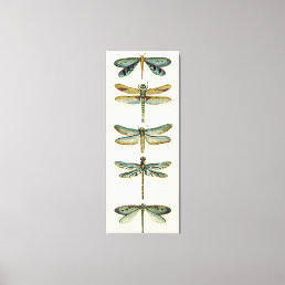 Dragonfly Collection by Chariklia Zarris Canvas Print