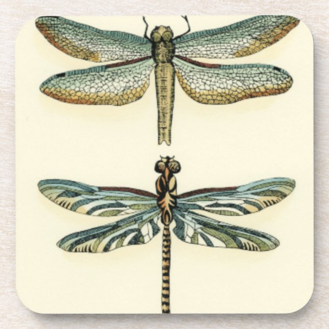 Dragonfly Collection by Chariklia Zarris Drink Coaster (Front)